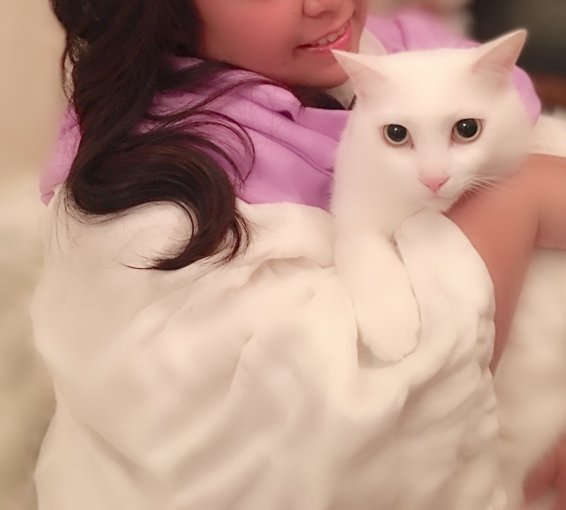 占い師おとめのお気に入り写真1